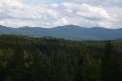 Foto 2007
