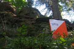 Foto 2008